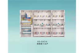 SD-DJC15湖南款電表箱十五戶